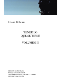 TENER LO QUE SE TIENE (VOLUMEN II) Diana Bellessi